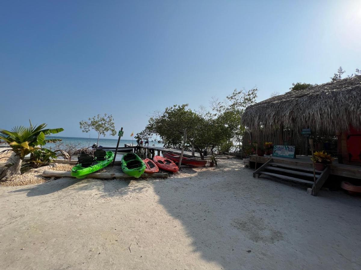 Santa Lova Eco-Hostel Isla Tintipan Tintipan Island Экстерьер фото