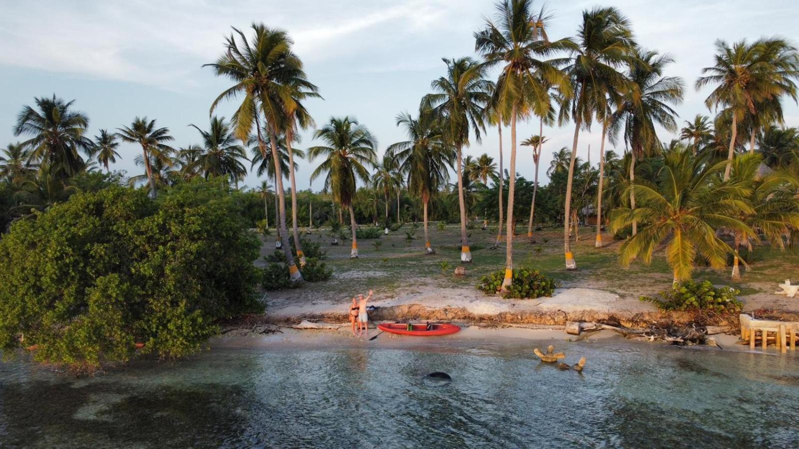 Santa Lova Eco-Hostel Isla Tintipan Tintipan Island Экстерьер фото