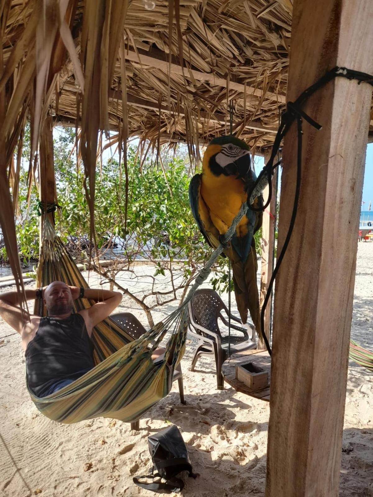 Santa Lova Eco-Hostel Isla Tintipan Tintipan Island Экстерьер фото